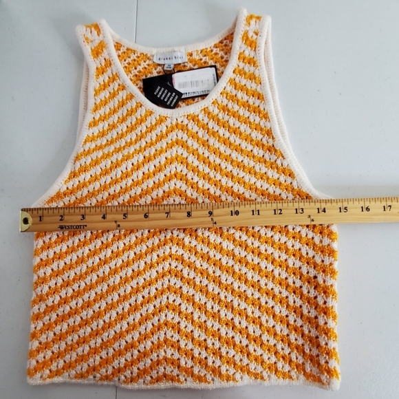 NEW Crochet Cropped Sweater Vest Size M Open Knit Sleeveless Chevron Pattern Top - Picture 4 of 9